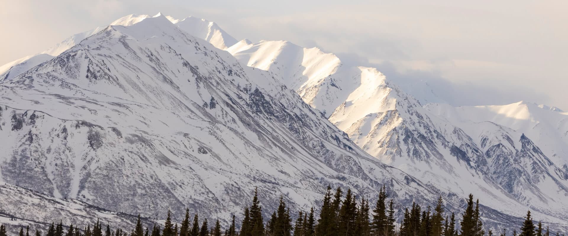 Snow-covered mountains rise majestically above a line of evergreen trees.