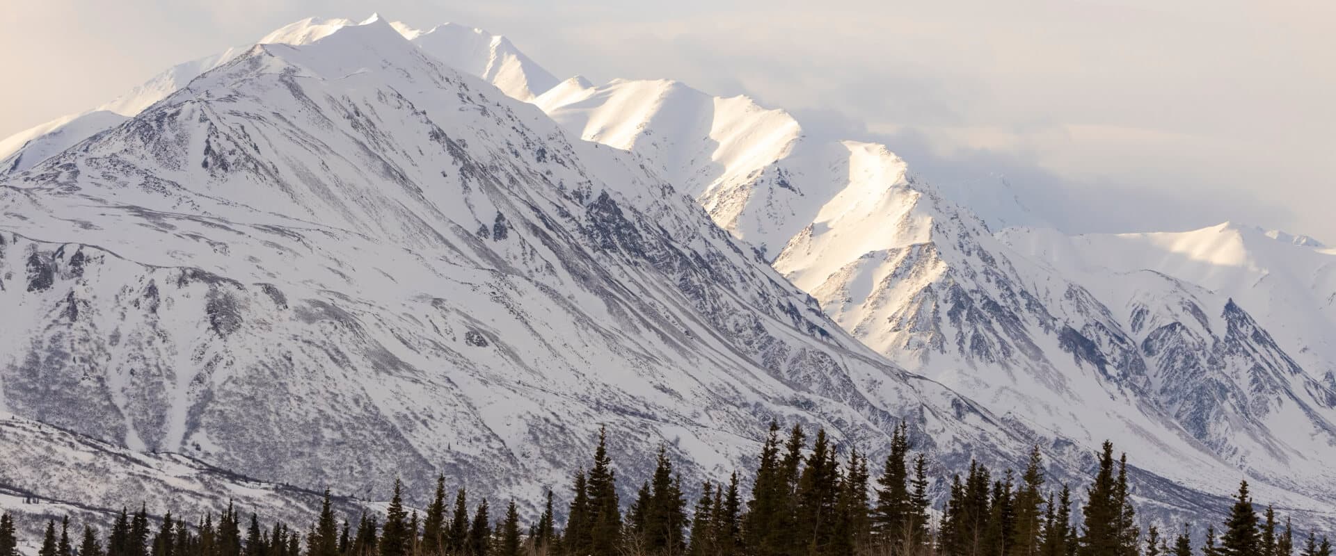 Snow-capped mountains rise above a dense forest under a cloudy sky.