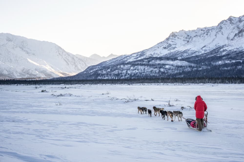 A person in a red coat is standing by a sled being pulled by dogs across a snowy landscape with mountains in the background.