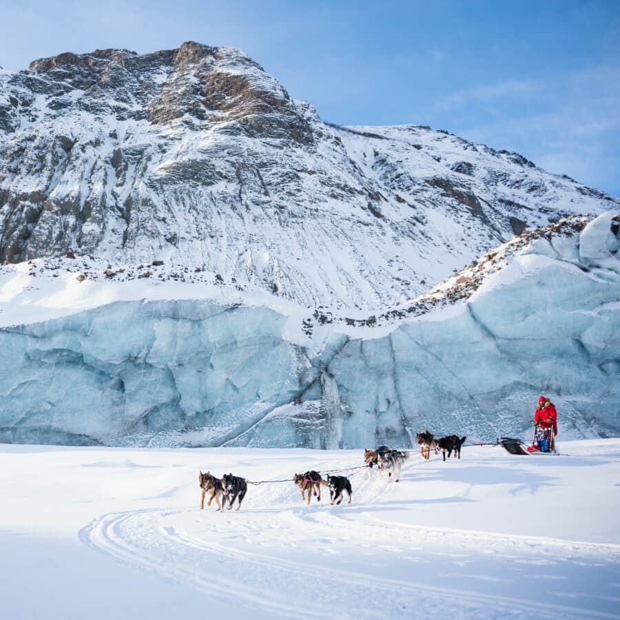 A dog sled team pulls a sled across a snowy landscape with a glacier and rocky mountains in the background.